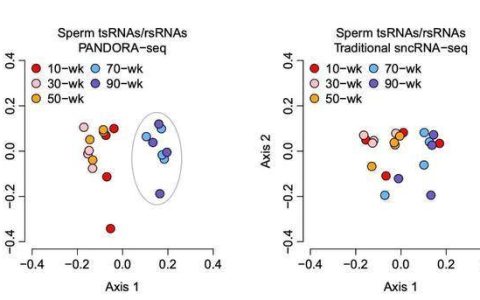 超过这个年龄，精子会断崖式衰老，且会传给下一代！