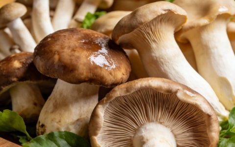 为什么你总发胖还记忆力不好？原来是缺了这种维生素！