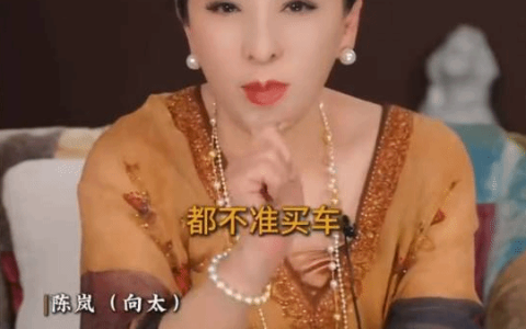 向太说存款没有200万别买车！车只是代步工具