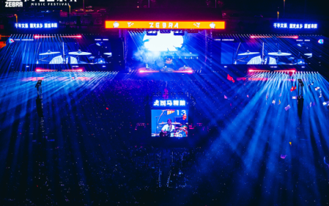 2026阜阳斑马音乐节双场燃情落幕，七万乐迷共绘春日音乐史诗