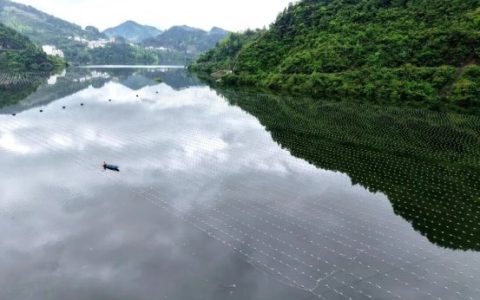 传统渔业迭代，“鱼蚌共生”走出大水面生态养殖新路子