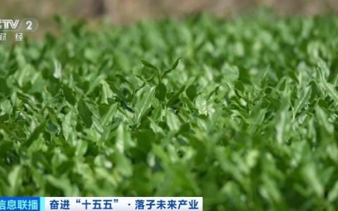 摆脱对石油、天然气依赖！这一超10000亿元大产业，爆发！