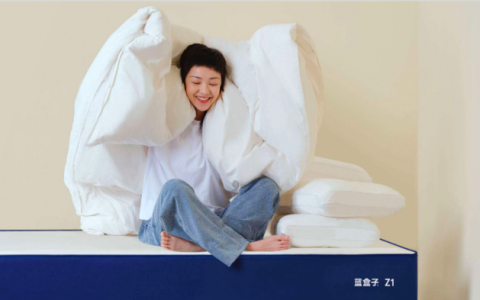 2026 年度床垫 TOP10：以护脊为核心，2000-5000 元闭眼入