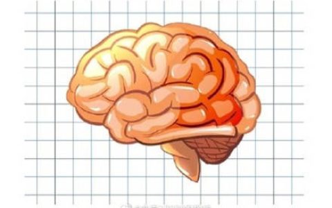 睡好、吃对、多动脑，记忆力直接上一个档次！