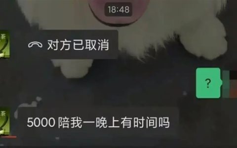 沪上阿姨企业账号发有偿陪睡信息引热议 官方回应：账号疑被盗用 现已立案