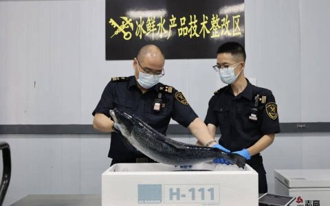 南京，再添一条新航线！