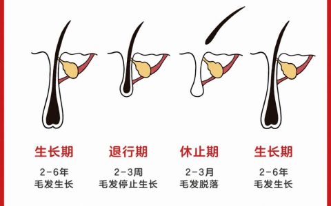 掉头发≠脱发！真正危险的是这几个信号→