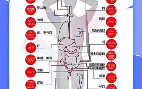 肿瘤标志物升高就是癌症吗？
