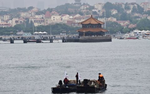 阿里巴巴“公益宝贝”项目落地青岛湾 完成水下种植海草20亩